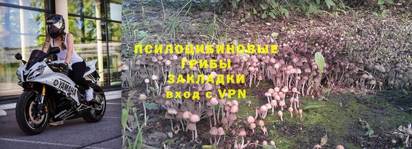 твердый Касимов