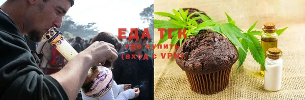 мдпв Каменка