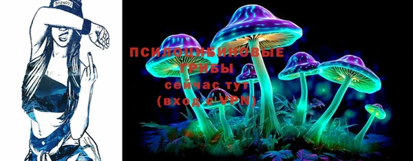 твердый Касимов
