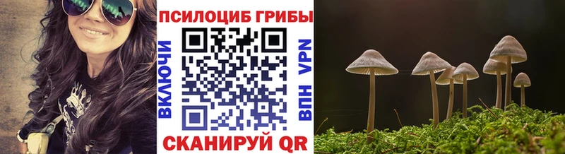 Галлюциногенные грибы Cubensis hydra ТОР площадка наркотические препараты купить наркотик Радужный